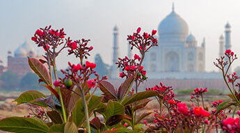 Golden Triangle Tour 4 Nights 5 Days